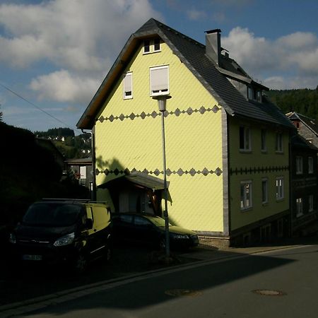 Ferienwohnung Klaus Im Tal Der Steinach Steinach  Eksteriør billede