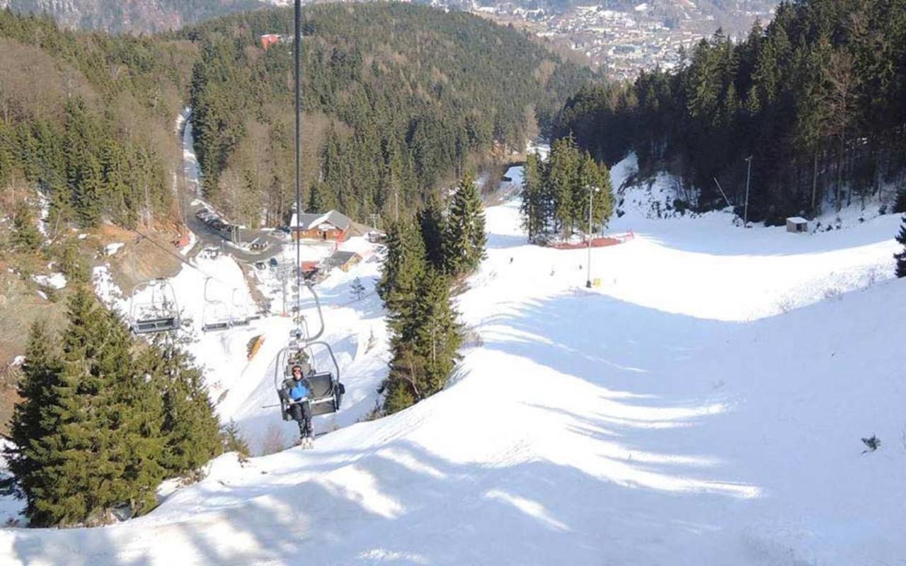 Ferienwohnung Klaus Im Tal Der Steinach Steinach  Eksteriør billede