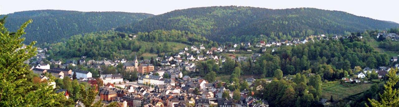 Ferienwohnung Klaus Im Tal Der Steinach Steinach  Eksteriør billede